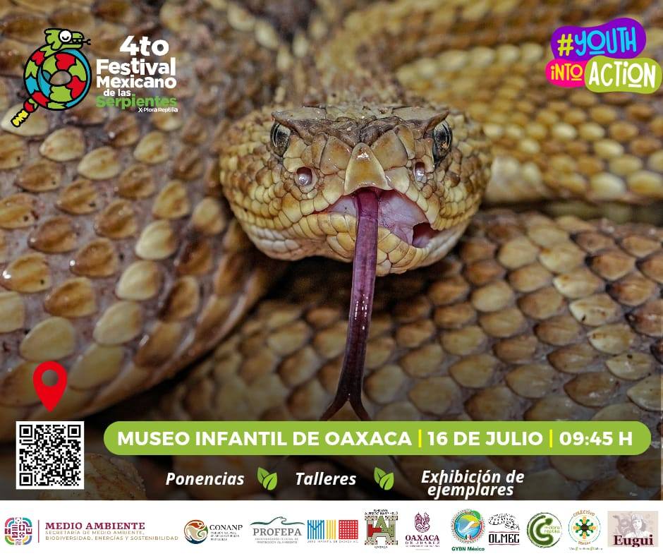 Impulsa Secretaría de Medio Ambiente nueva edición del Festival Mexicano de las Serpientes