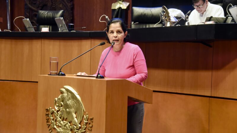 María del Rocío Corona Nakamura