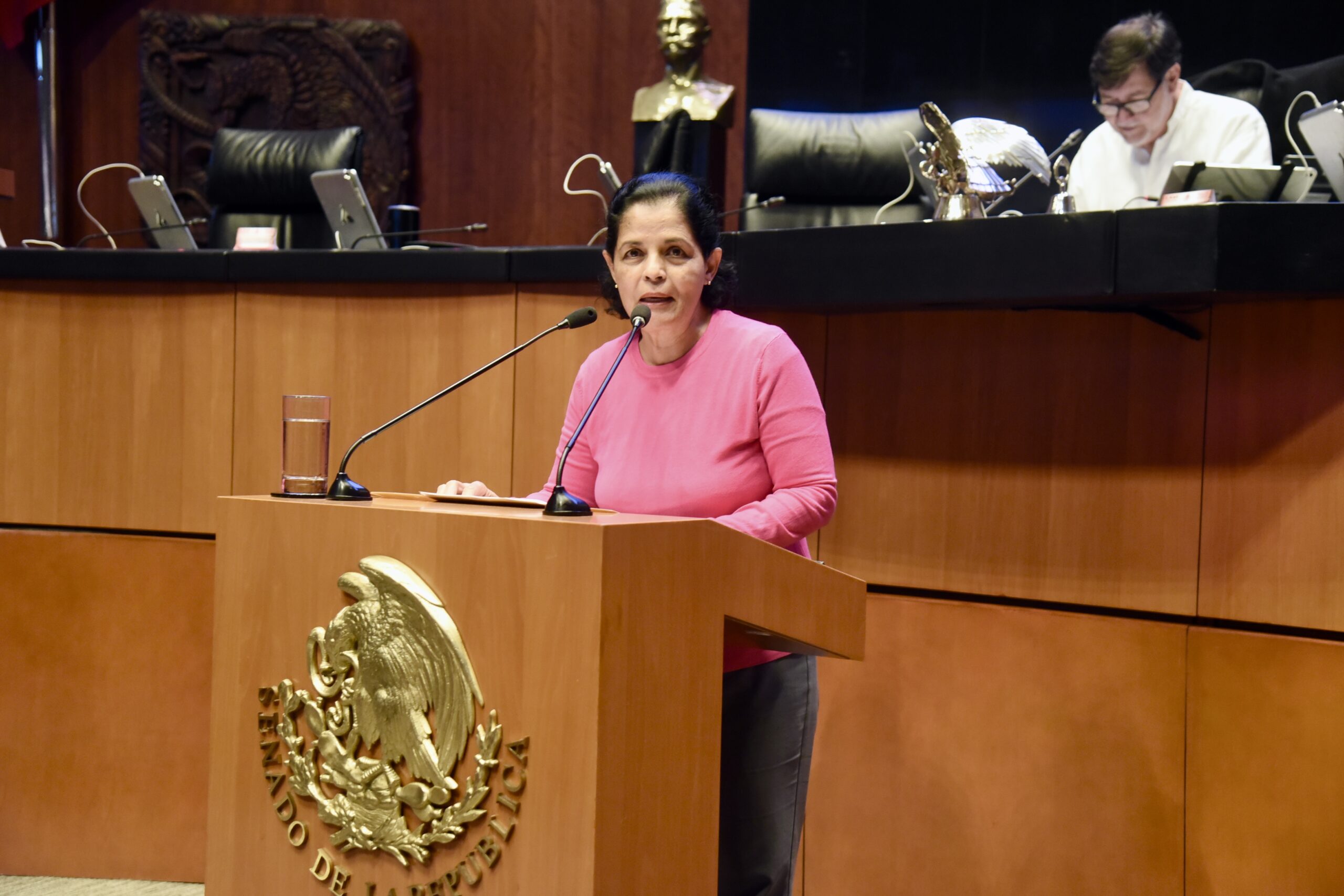 Incluir salud mental en escuelas, ante alarmante alza de suicidios en jóvenes, propone GPPVEM