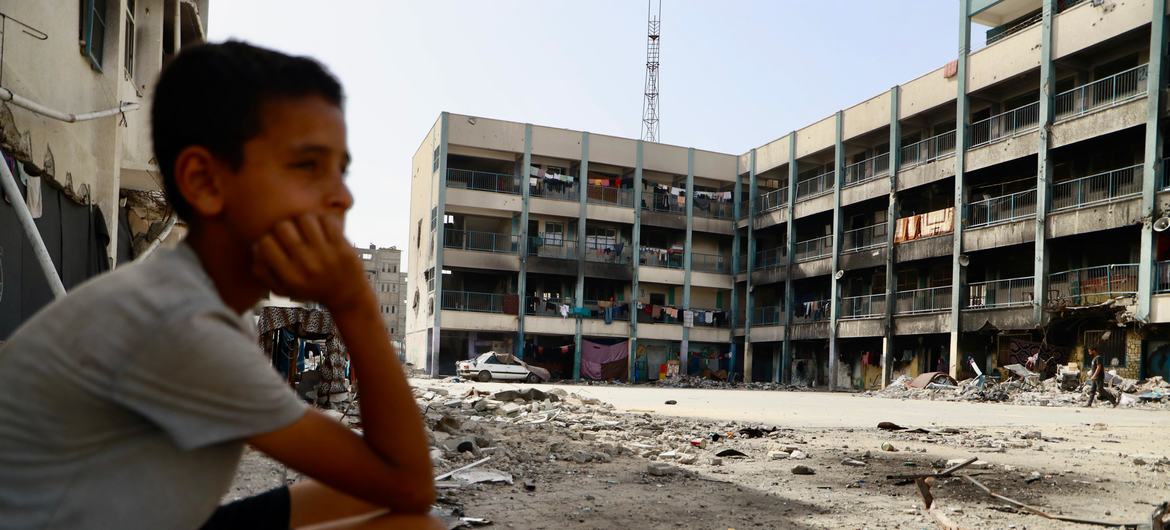 Cerca de 16,000 estudiantes palestinos han muerto en Gaza desde el inicio de la guerra