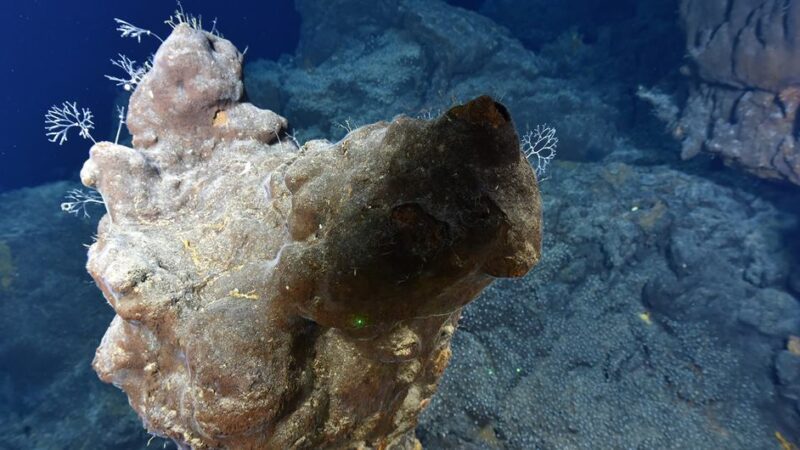 Los fondos marinos no deben convertirse en el “Salvaje Oeste” de la explotación de minerales raros: Autoridad Internacional de los Fondos Marinos