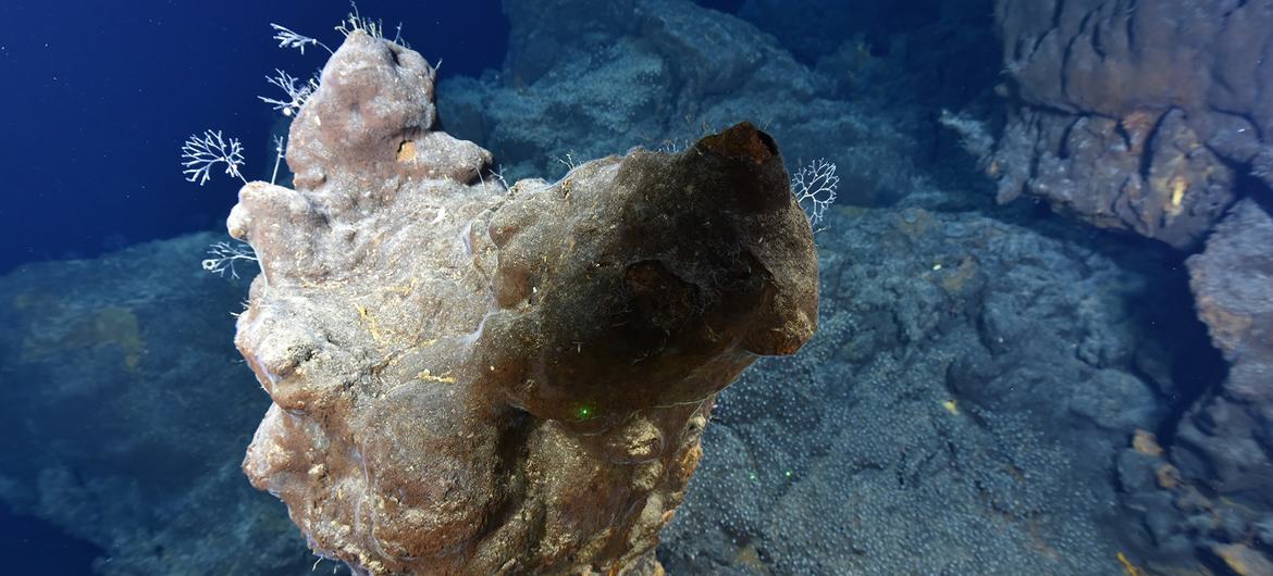 Los fondos marinos no deben convertirse en el “Salvaje Oeste” de la explotación de minerales raros: Autoridad Internacional de los Fondos Marinos