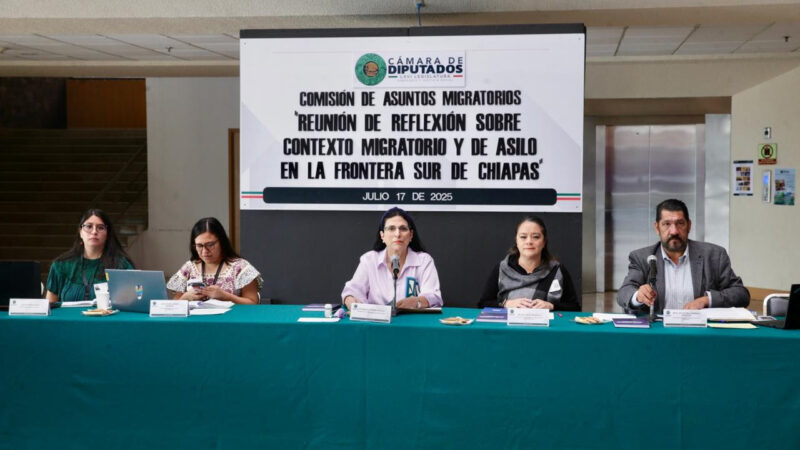 Marcela Guerra Castillo