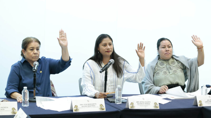 Comisiones Unidas de Gobernación y Derechos Humanos