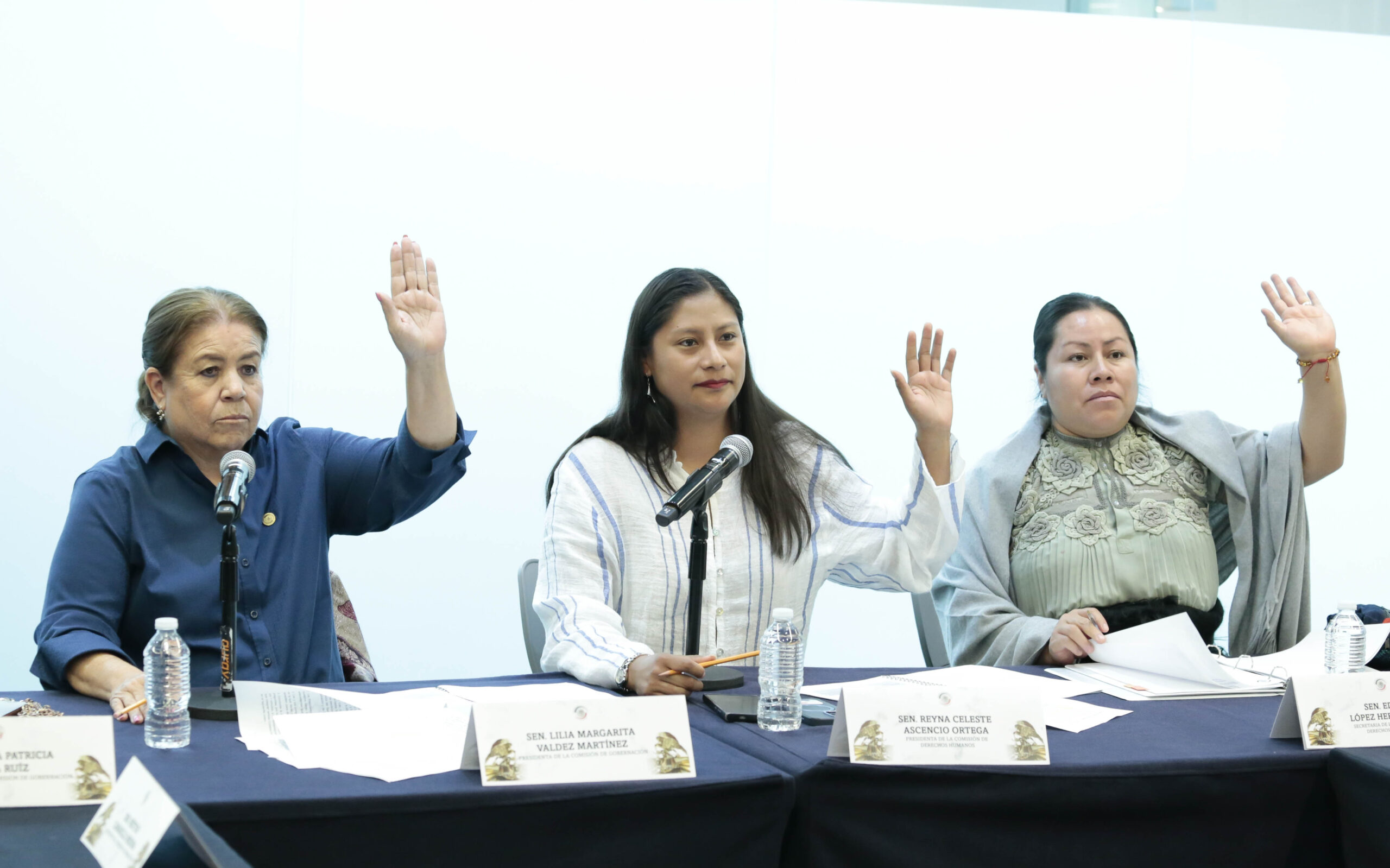 Aprueban acuerdo para evaluar a candidatos para el Consejo Nacional Ciudadano del Sistema Nacional de Búsqueda