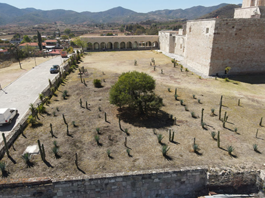 En Oaxaca, impulsa la UNAM construcción de Jardín Geobotánico en Geoparque