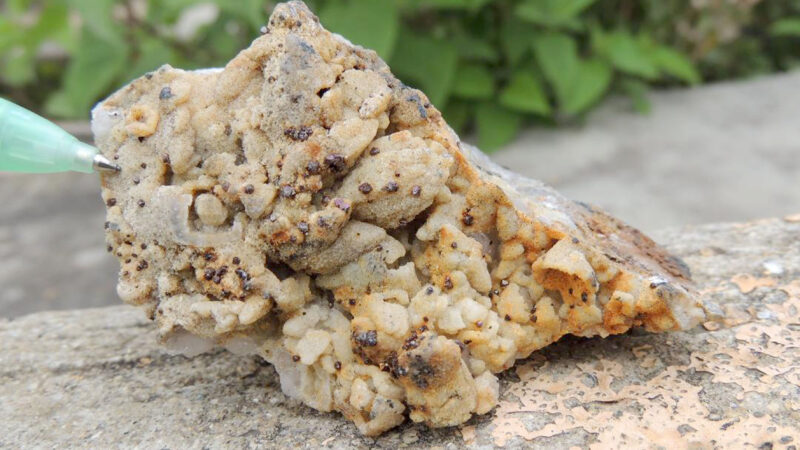 Oro y plata viajan como partículas suspendidas en fluidos de yacimiento mineral en Oaxaca