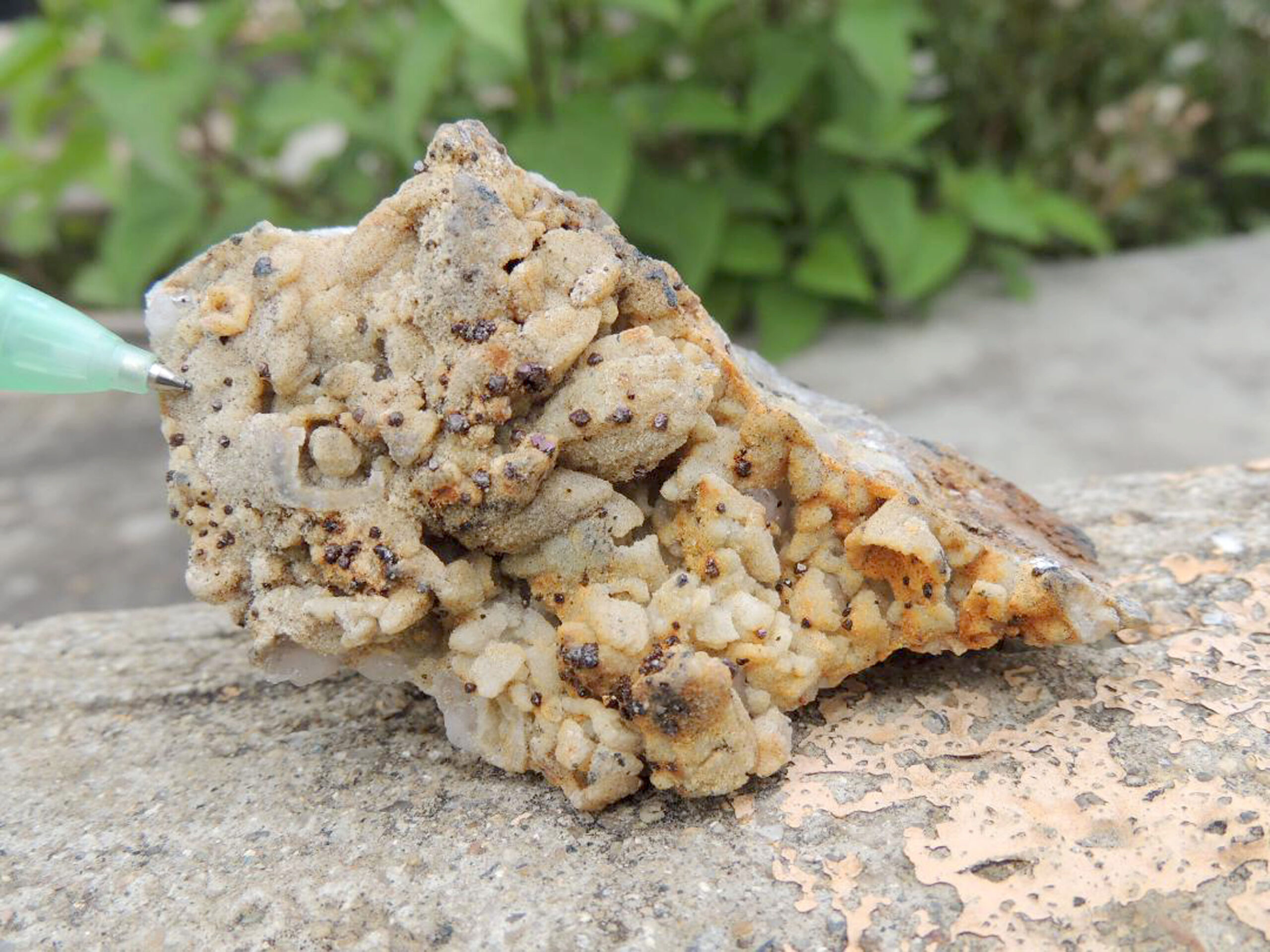 Oro y plata viajan como partículas suspendidas en fluidos de yacimiento mineral en Oaxaca