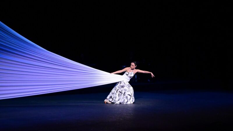 Diversas danzas, Diversos cuerpos.