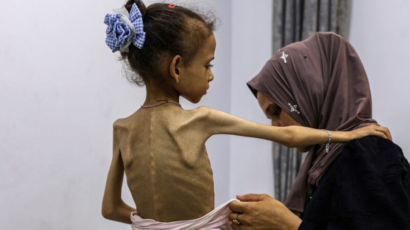 El Consejo de Seguridad de la ONU se reúne mientras la ayuda a Gaza aún es absolutamente insuficiente