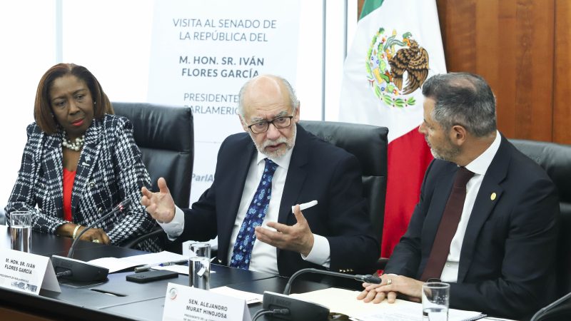 Reuniòn Parlamericas