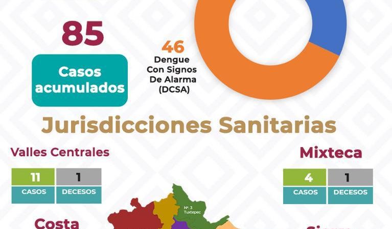 23 casos nuevos de dengue