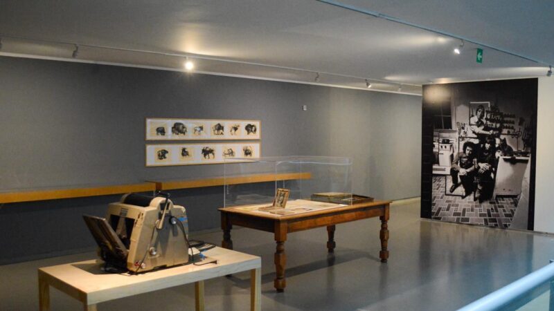 “Yani Pecanins. Las cosas sencillas”