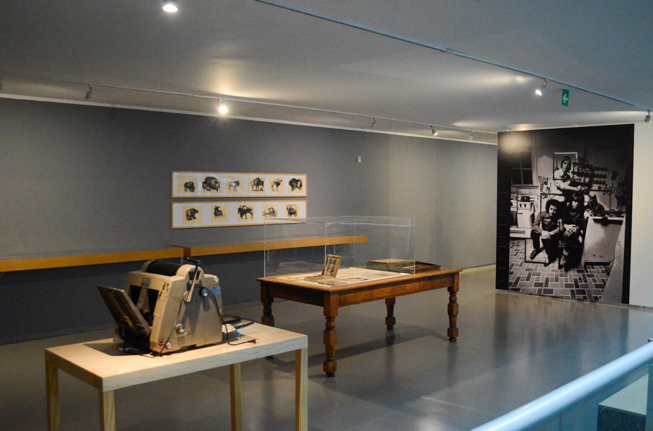 El Museo de Arte Carrillo Gil invita a conocer el universo íntimo de Yani Pecanins