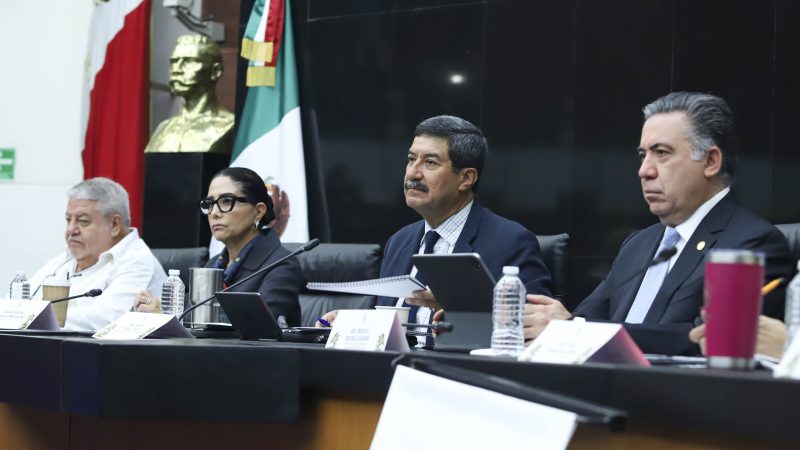 Audiencias Públicas