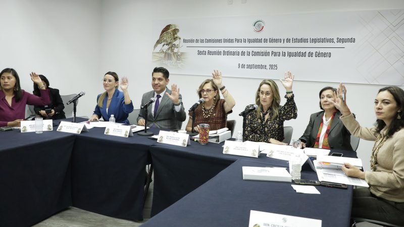 Comisión para la Igualdad de Género