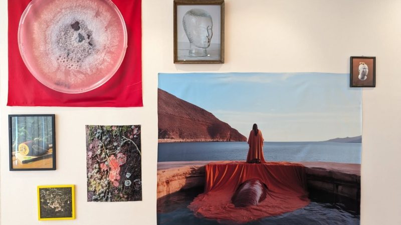 Museo de Arte de Ciudad Juárez