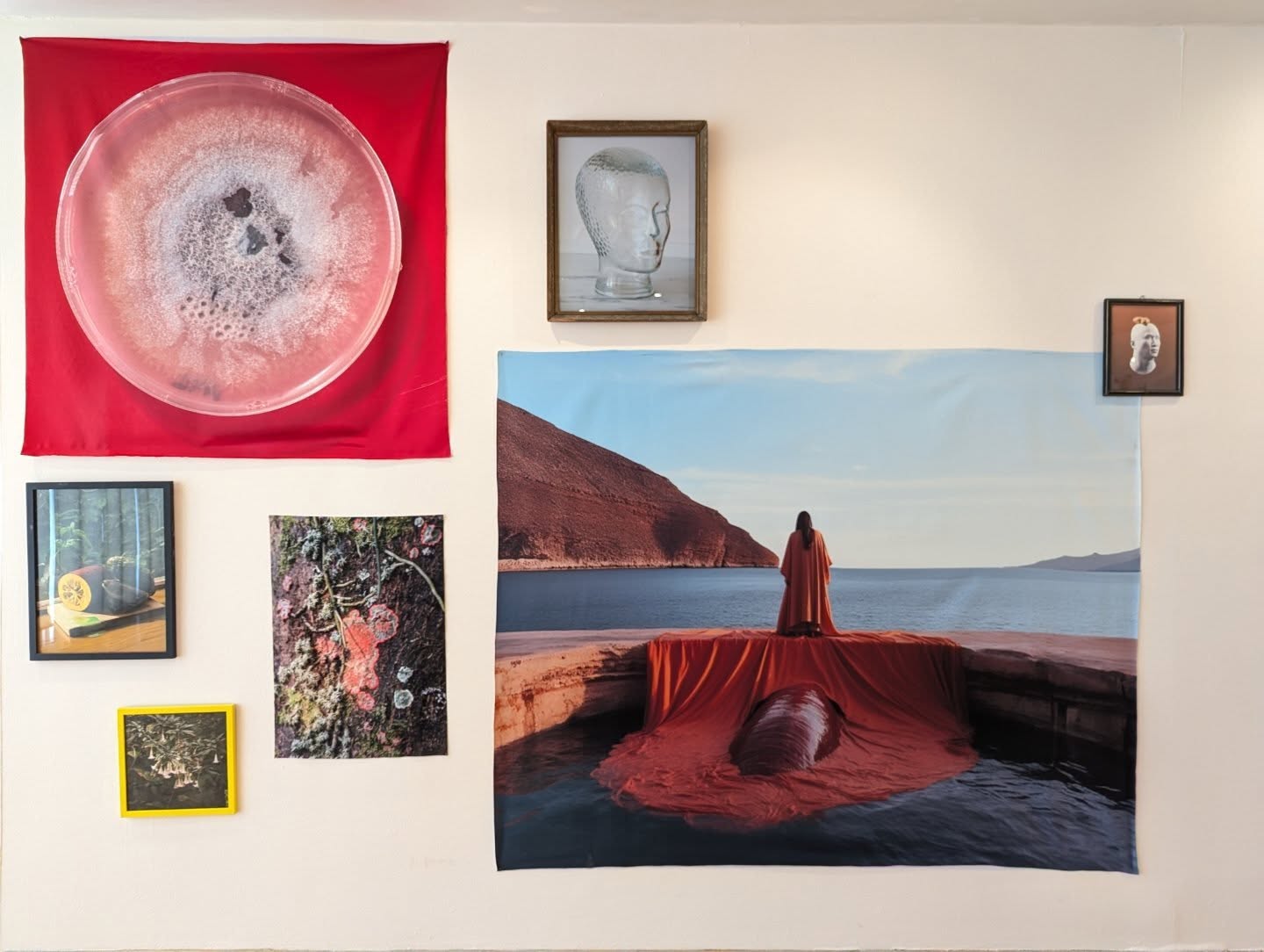 Migración, desierto y mundos híbridos en las exposiciones del Museo de Arte de Ciudad Juárez