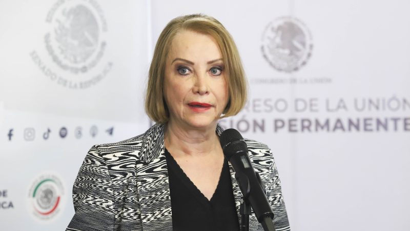 Laura Itzel Castillo Juárez