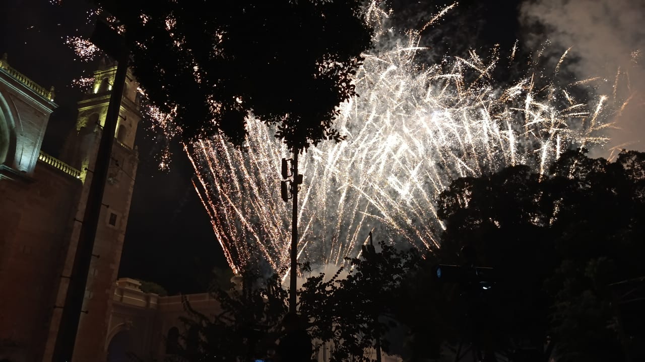 Bombardeo de pirotecnia en la Plaza Grande de Mérida daña a los loros que viven ahí
