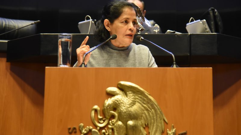 Rocío Corona Nakamura