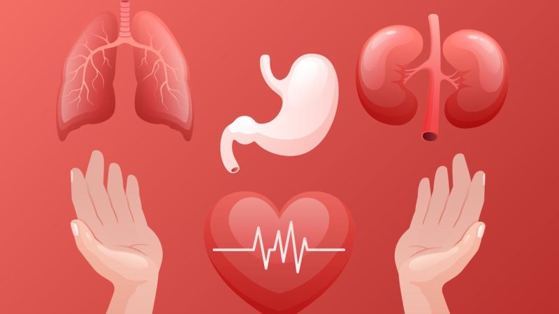 Cultura de donación de órganos y tejidos