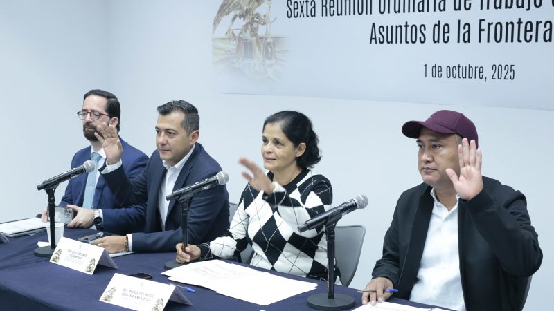 Comisión Asuntos de la Frontera Sur