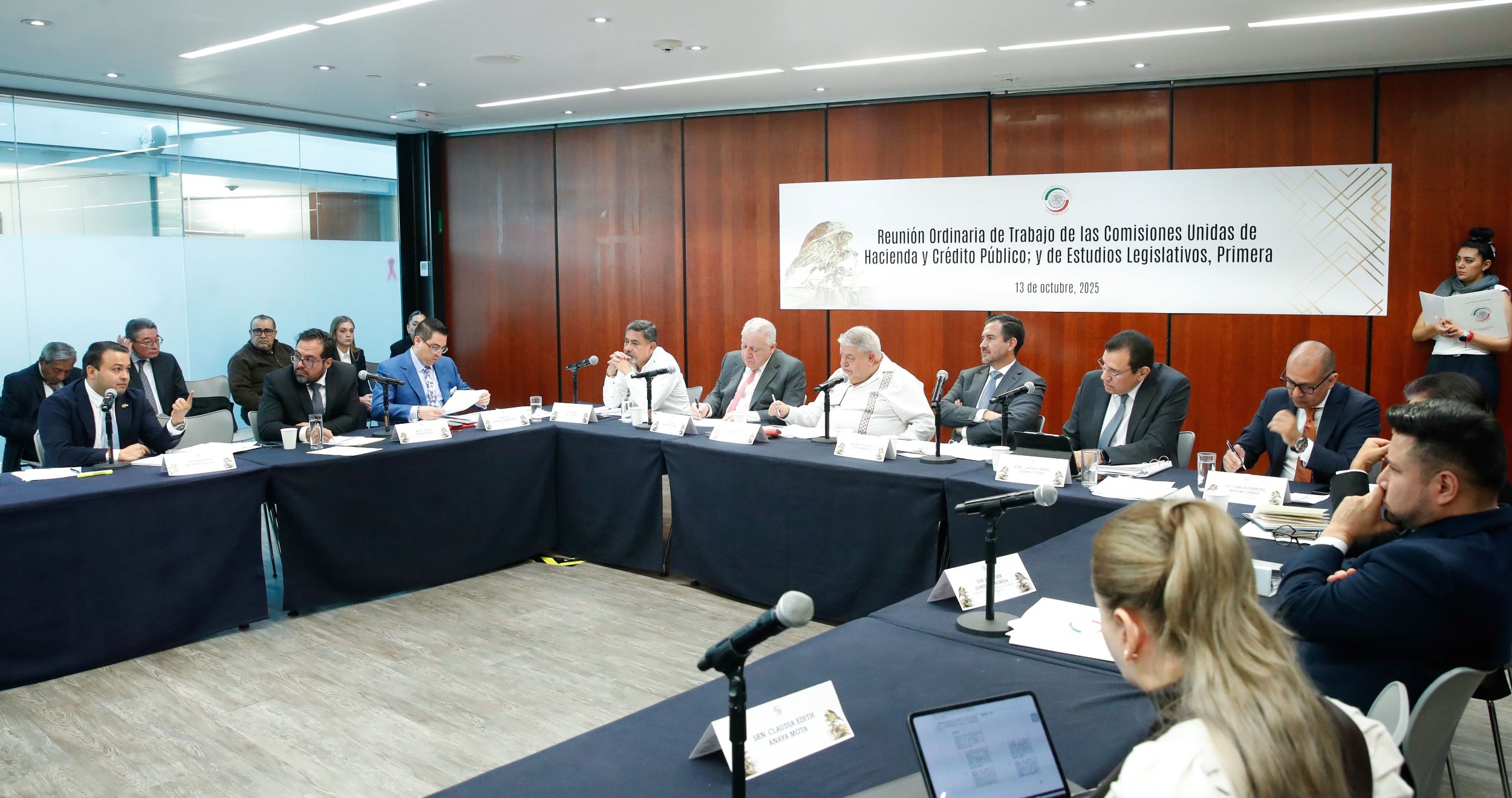 Funcionarios federales exponen a senadores reformas para modernizar Ley Aduanera