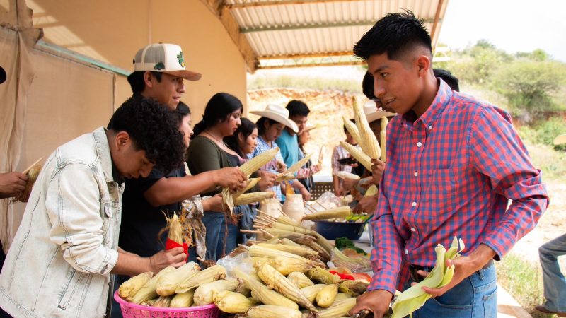 Día Nacional del Maíz