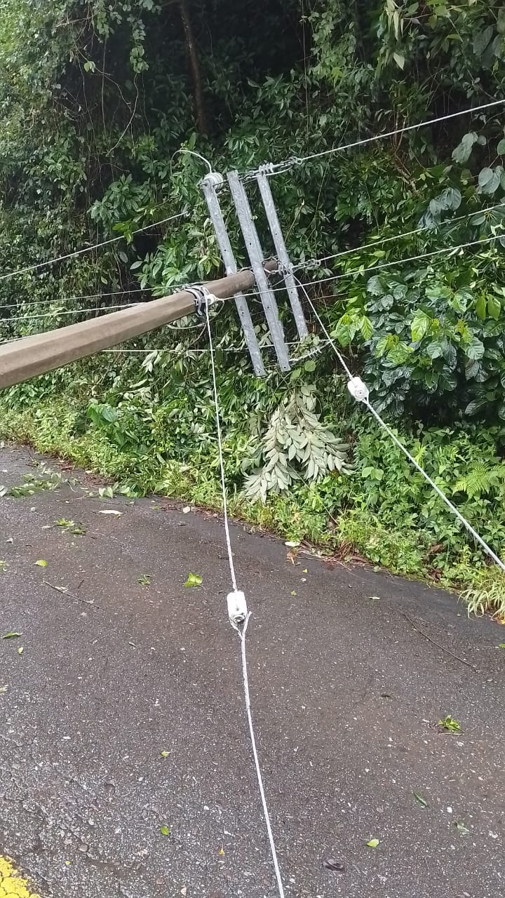 Reporta Protección Civil de Oaxaca afectaciones por lluvias en diversas regiones del estado