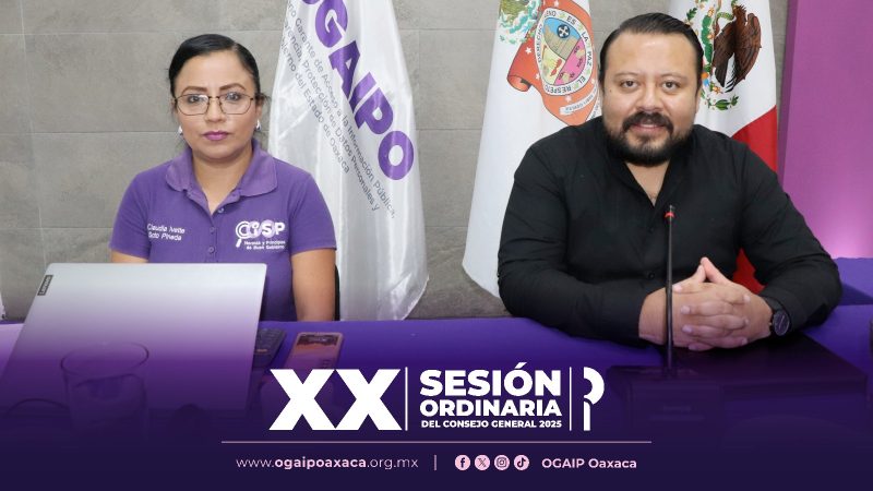 Vigésima Sesión Ordinaria 2025