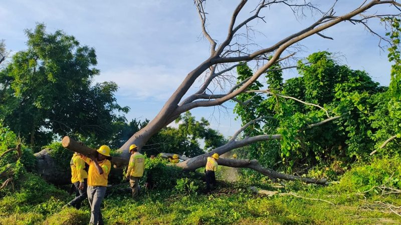 Mantienen acciones de apoyo