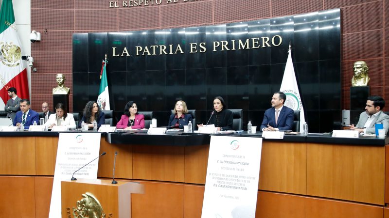 Comparece Luz Elena González Escobar