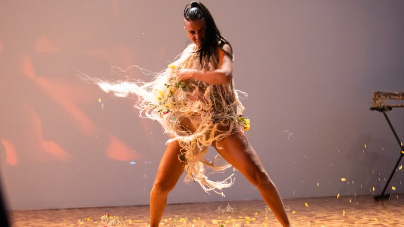 X Encuentro Nacional de Danza