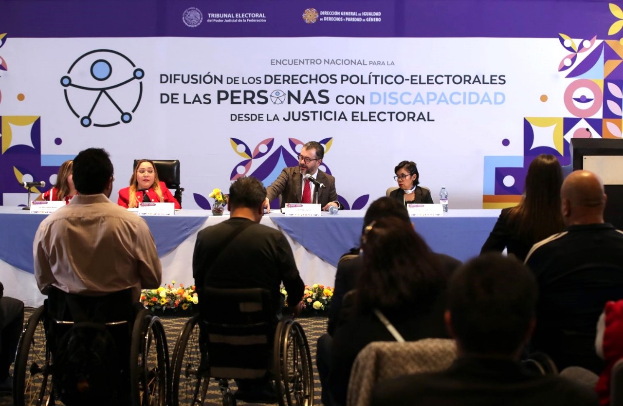 Hay que garantizar derechos de personas con discapacidad; no basta con reconocerlos: Bátiz García