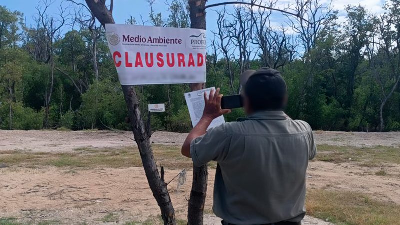 Ecosistemas costeros