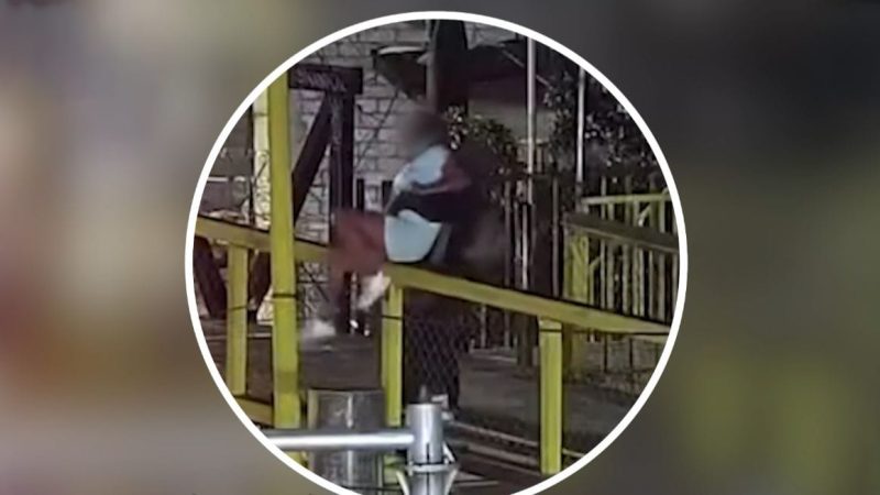 Salvaguardan a persona