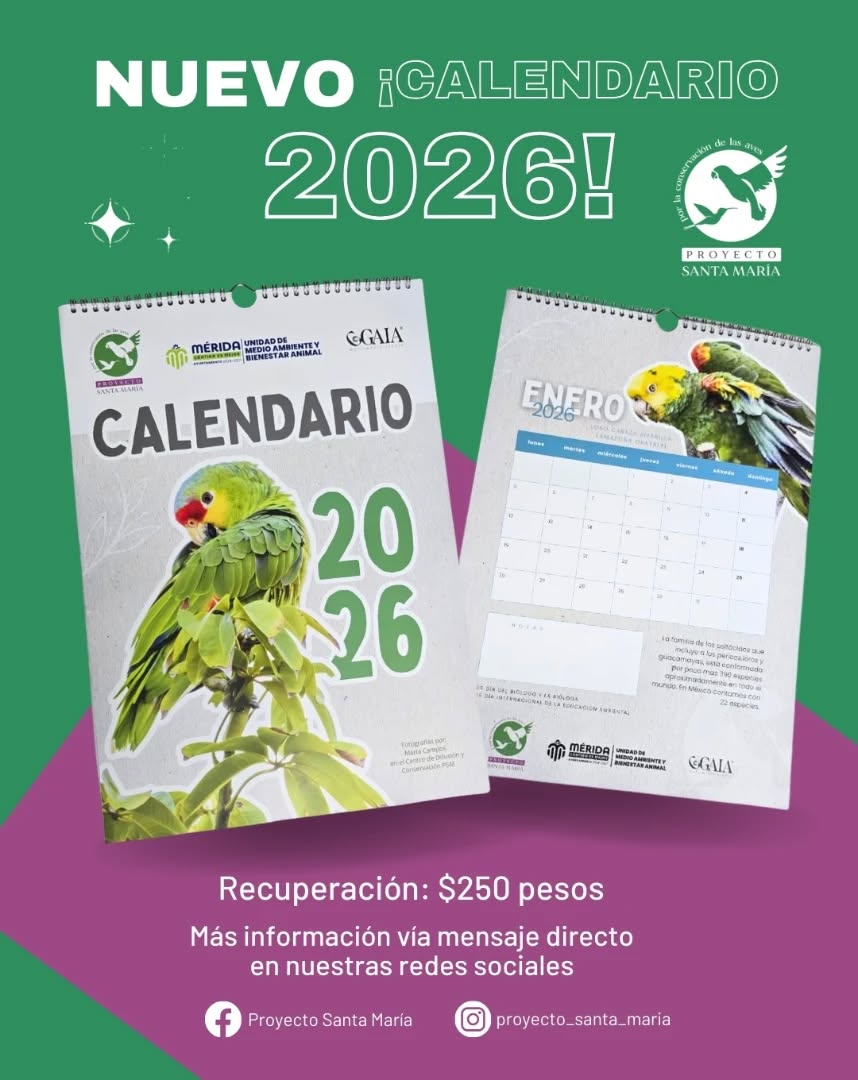 Lanza Proyecto Santa María su Calendario de loros 2026