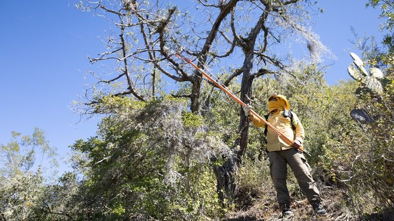Realizan saneamiento