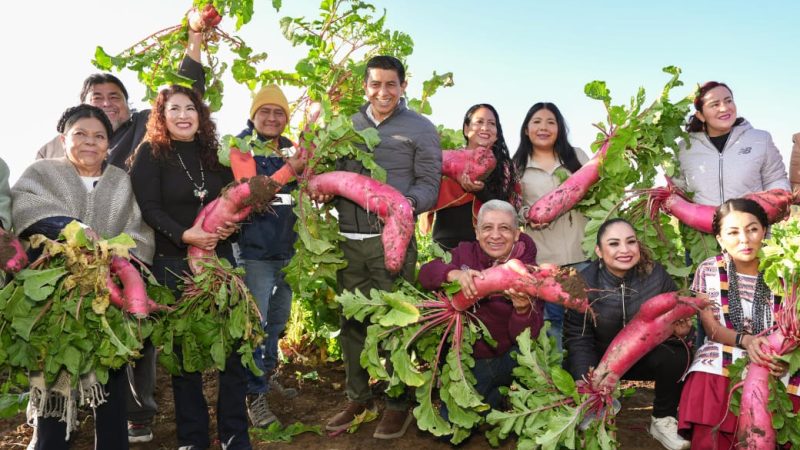 Cultura y tradición