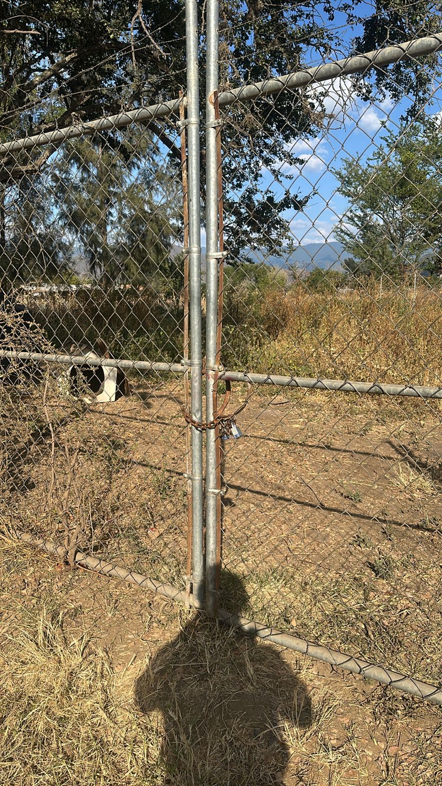 Amplía Fiscalía de Oaxaca investigación por posible maltrato animal en predio de Tlalixtac