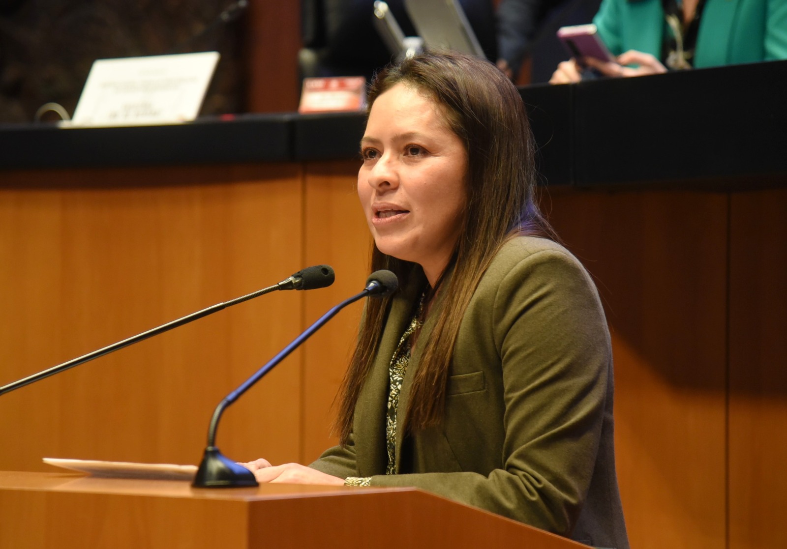 Aprueba Senado Iniciativa del GPPVEM para combatir delitos ambientales con respaldo de la Guardia Nacional