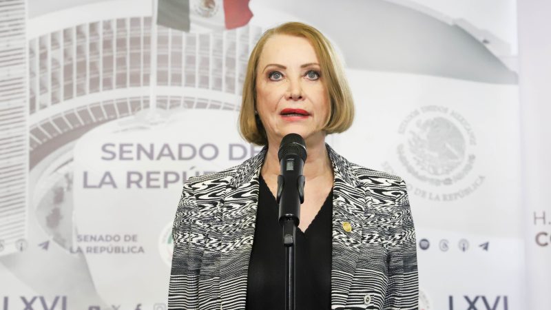 Laura Itzel Castillo Juárez