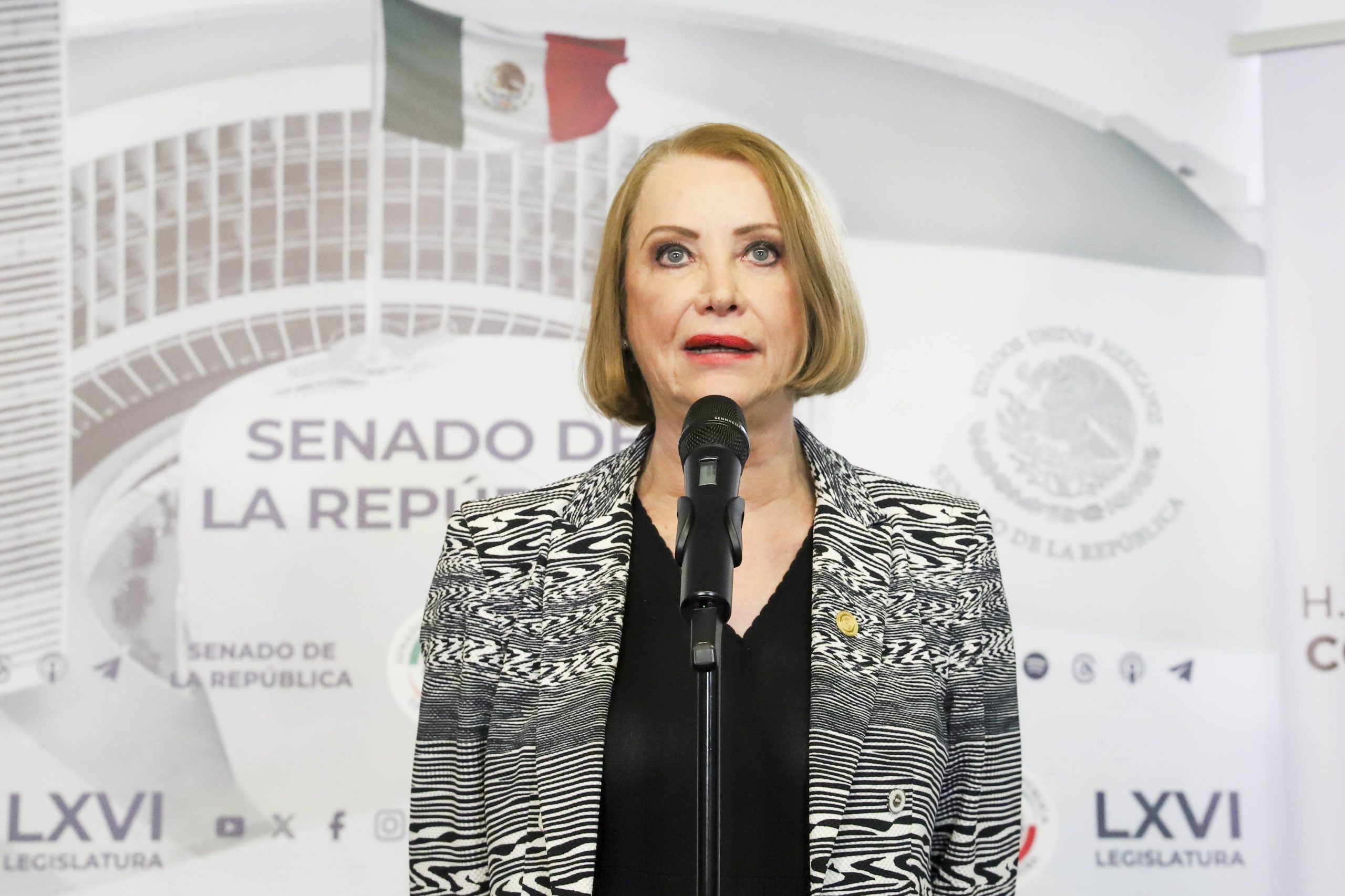 Solidaridad y prosperidad compartida para todos los hogares de México, desea Laura Itzel Castillo Juárez