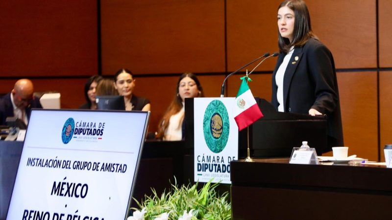 Paloma Domínguez Ugarte