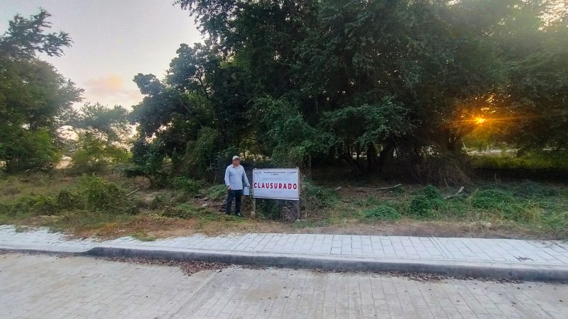 Clausura total temporal