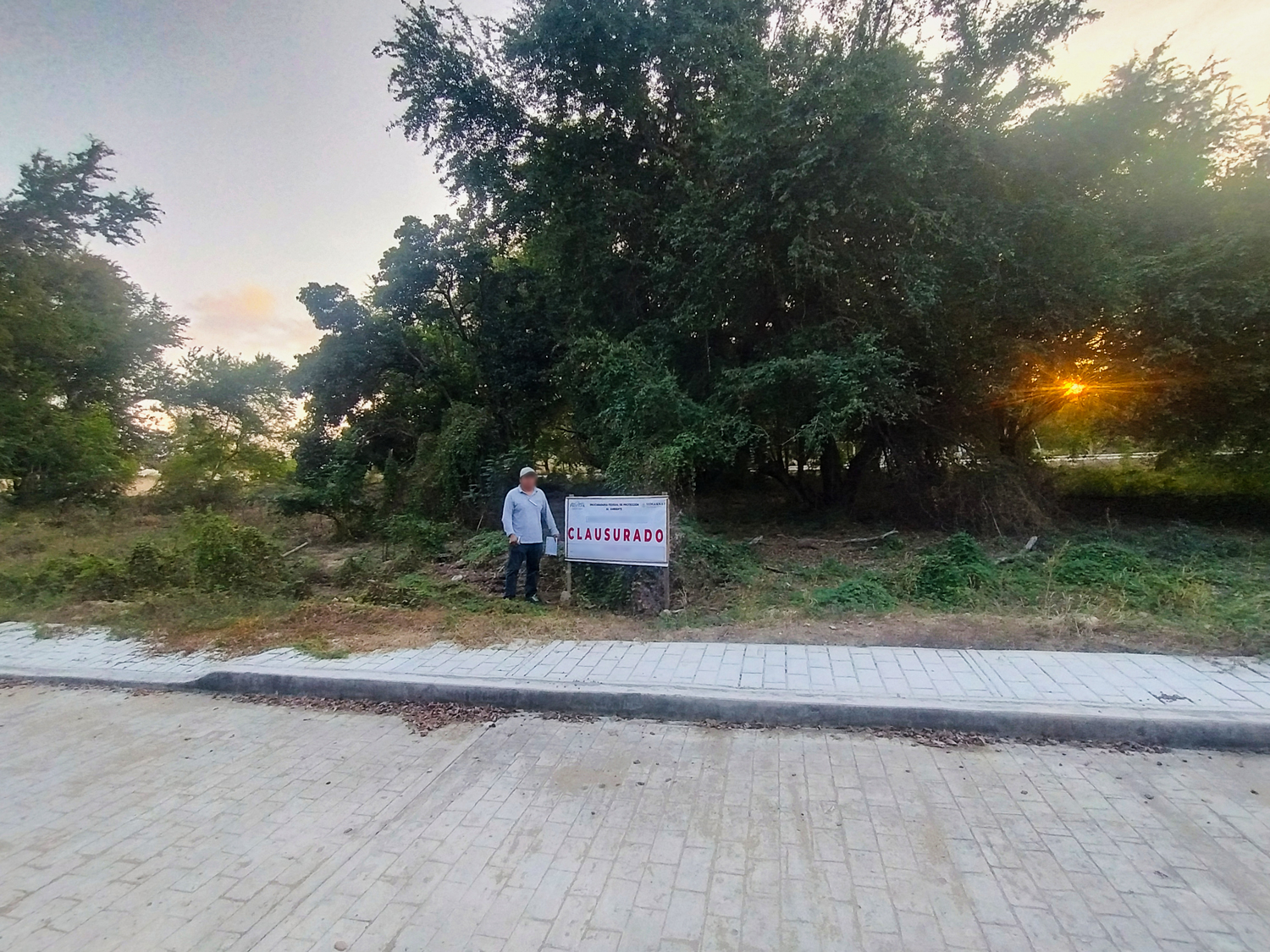 Clausura Profepa predio con cambio ilegal de uso de suelo en ecosistema de dunas costeras, en Puerto Escondido