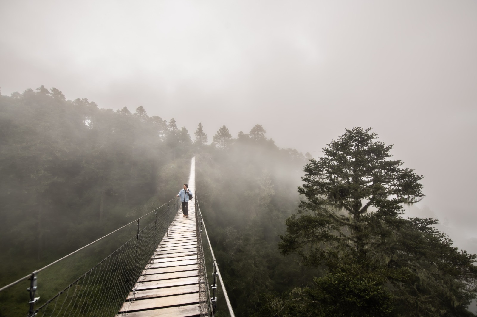 Ruta Sierra Juárez, experiencia imperdible de turismo comunitario: Sectur-Oaxaca