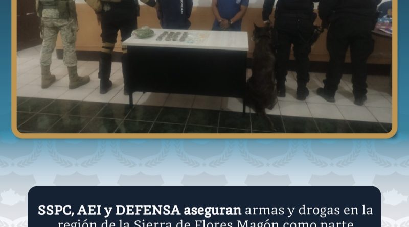 Aseguran drogas y armas en la Cañada mediante programa “Oaxaca segura”; Dos detenidos