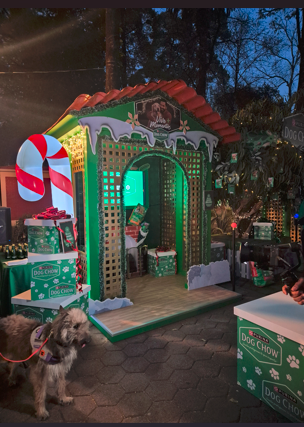 Vive + Momentos con tu perro